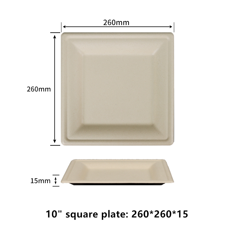 100% компостируемые 10-дюймовые квадратные бумажные тарелки, не содержащие PFAS, сертифицированные BPI, сверхмощные, экологически чистые, биоразлагаемые обеденные тарелки из жома