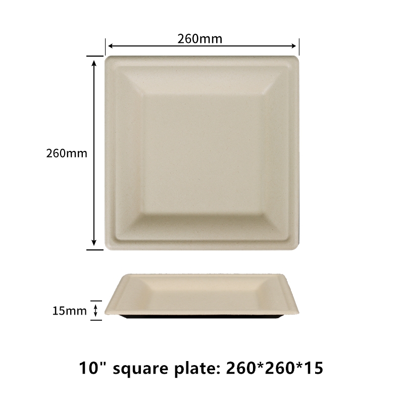 eco friendly disposable dinner plates