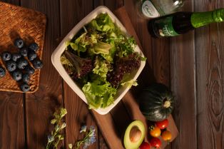 Plant-Based Tableware Penetration Reaches 45% in North America, Booming Demand for Takeaway, Camping & Aviation
